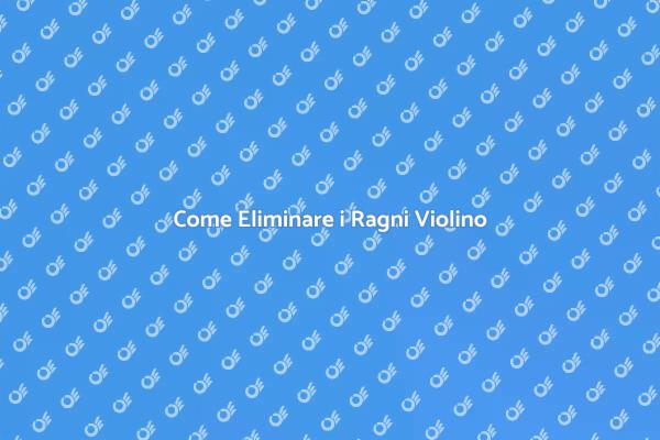 Guida per Liberarsi dei Ragni Violino