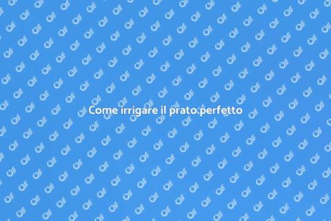 Irrigazione per il prato: guida utile