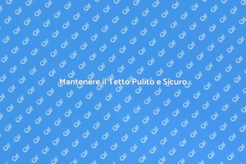 Pulizia Tetto: Rimuovere i Detriti