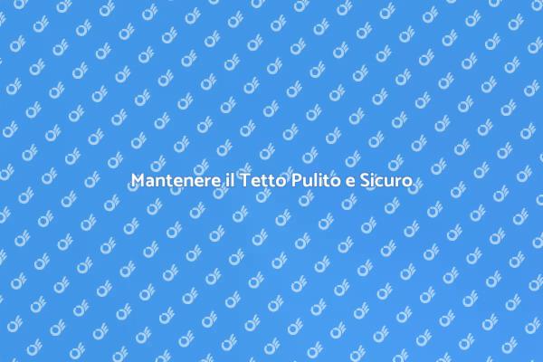Importanza della Pulizia del Tetto