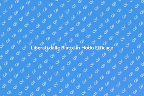 Servizio Personalizzato Contro le Blatte