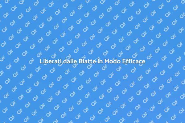 Soluzioni Personalizzate contro le Blatte