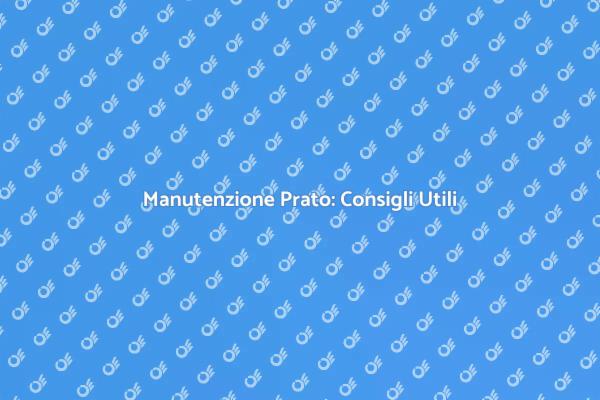 Prato Perfetto: Come Prendersene Cura