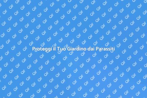 Disinfestare Esterni: Proteggi la Casa