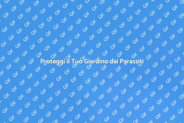 Disinfestazione: Spazi Esterni Sani