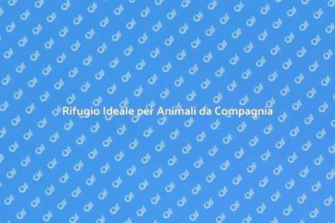 Pensione per Animali: Un Rifugio Sicuro
