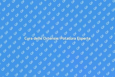 Potatura Professionale Ortensie