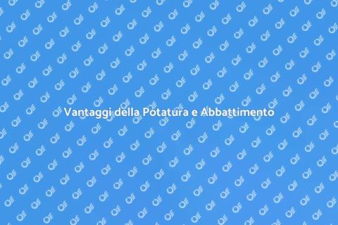 Potatura e Abbattimento Alberi Professionale