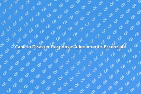 Allenamento Cani da Disaster Response
