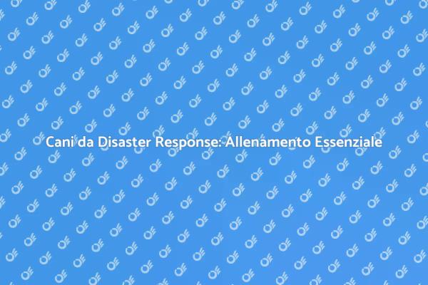 Cani da Disaster Response: Un Allenamento Cruciale