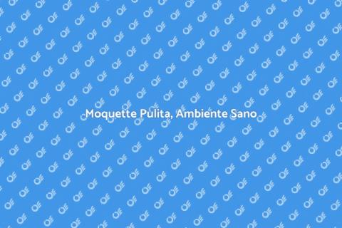 Servizi di Pulizia per Moquette