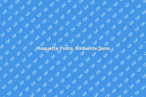 Mantieni la tua Moquette Sempre Pulita