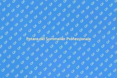 Servizio Sommelier Professionale