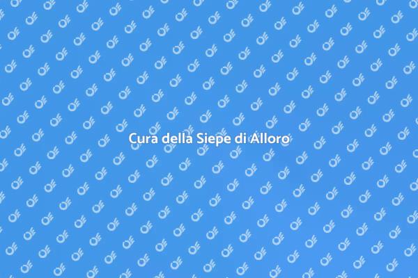 Come Mantenere una Siepe di Alloro