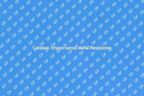 Revisione Caldaia: Comfort e Sicurezza