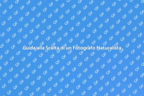 Assumere un Fotografo Naturalista