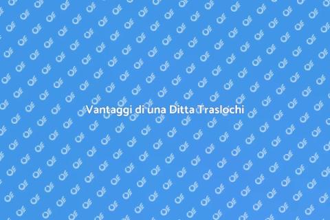 Ditta Traslochi con Magazzinaggio