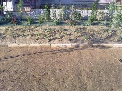 Agrigarden L'Olivo  - Foto 5