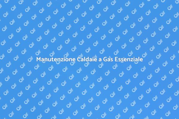 Caldaie a Gas: Manutenzione Cruciale