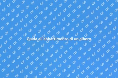 Abbattere un albero in sicurezza
