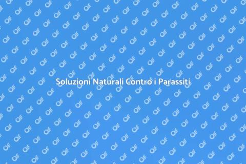 Trattamento Antiparassitario Naturale