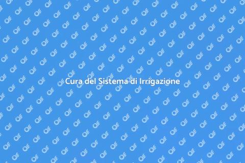 Manutenzione Irrigazione per Giardini
