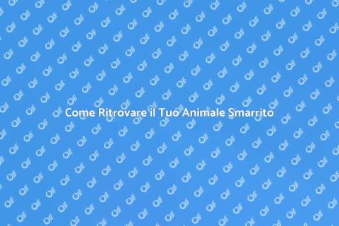 Servizio Completo di un Pet Detective