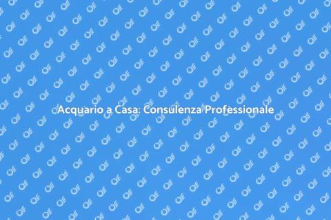 Consulenza Acquario a Casa: Benessere