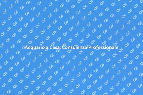 Crea il Tuo Acquario: Consulenza Esperta