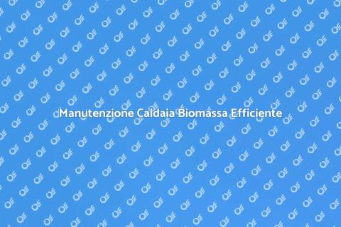 Manutenzione Preventiva Caldaia Biomassa