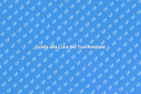Mantenere un Animale Domestico Felice