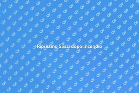Riparazione Danni da Incendio Professionale