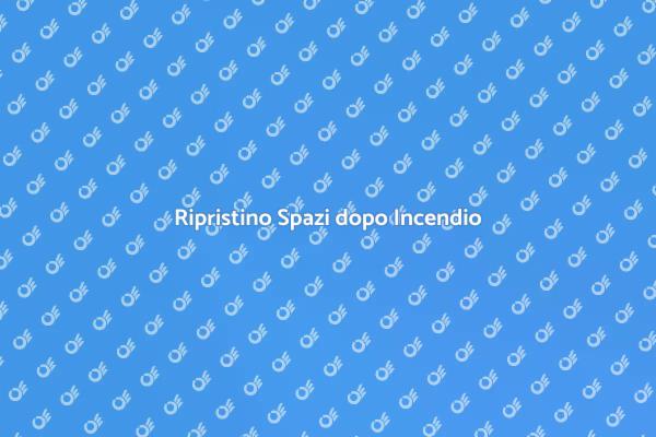 Servizi di Riparazione Incendi