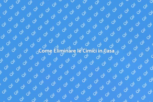 Liberati delle Cimici Oggi Stesso