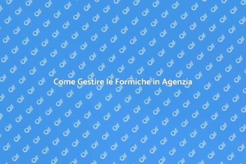 Disinfestazione Formiche in Agenzia