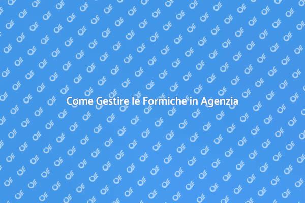 Affronta le Formiche nella Tua Agenzia