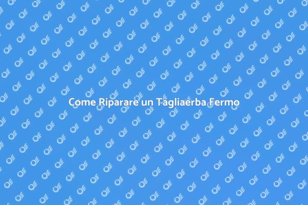 Riempi il Tuo Giardino di Verde!