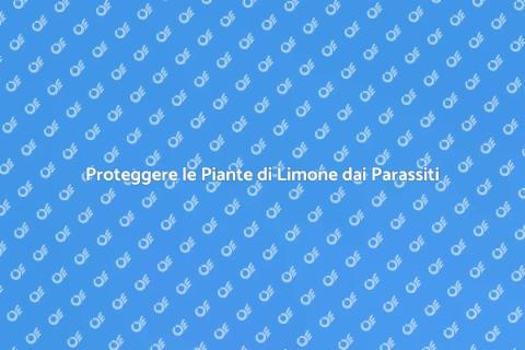 Prevenire Parassiti Piante di Limone