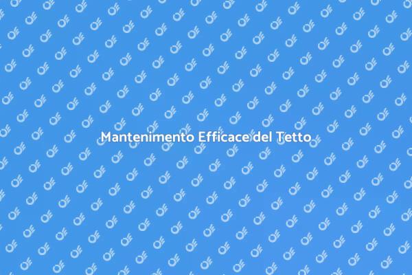 L'Arte della Pulizia del Tetto