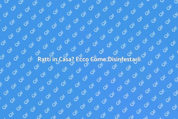 Come Disinfestare i Ratti Efficacemente