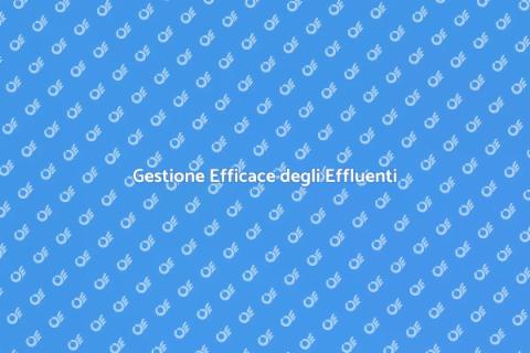 Trattamento Effluenti Industriali Essenziale