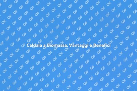 Caldaia Biomassa e Accumulatori