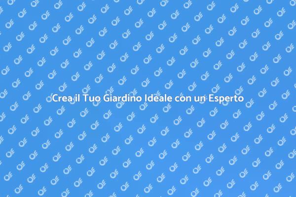 Trasforma il Tuo Giardino con un Paesaggista