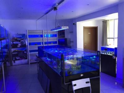 Aquarium Life  - Foto 5