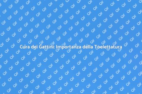 Toelettatura Gattini: Salute e Felicità