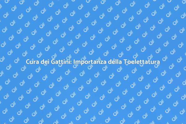 Toelettatura: Essenziale per Gattini Felici