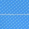 Pavimento Flessibile: Come Installarlo