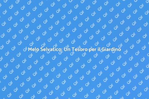 Acquistare un Melo Selvatico