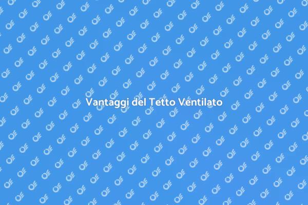 Eccellenza del Tetto Ventilato