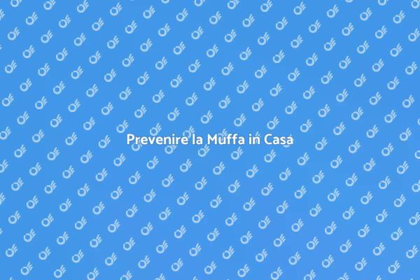Interventi Contro la Muffa Efficaci